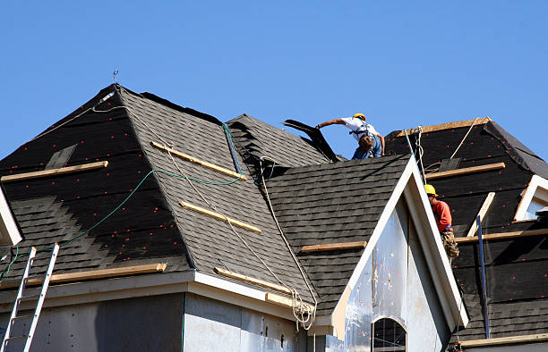 Best Flat Roof Repair Services  in Haskins, OH