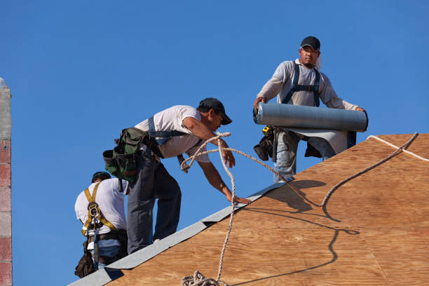 Professional Roofing Contractor in Haskins, OH