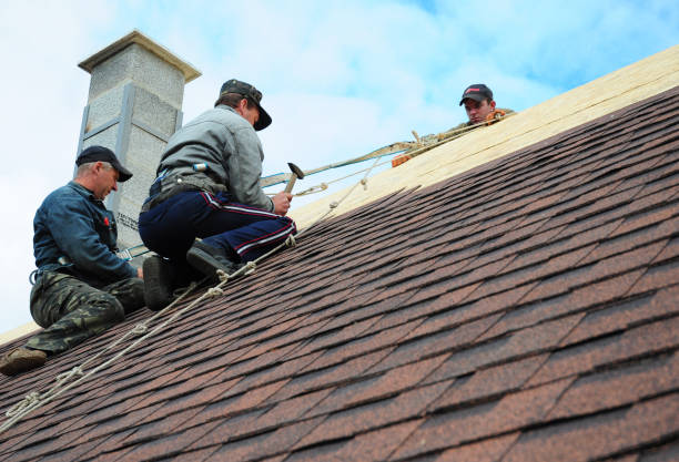 Best Roof Leak Repair  in Haskins, OH